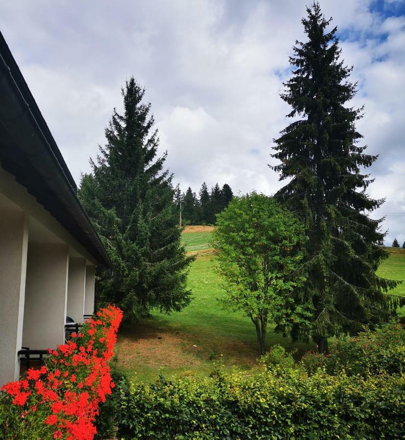 Schwarzwaldgasthof Hotel Hirschen Ibach Kültér fotó